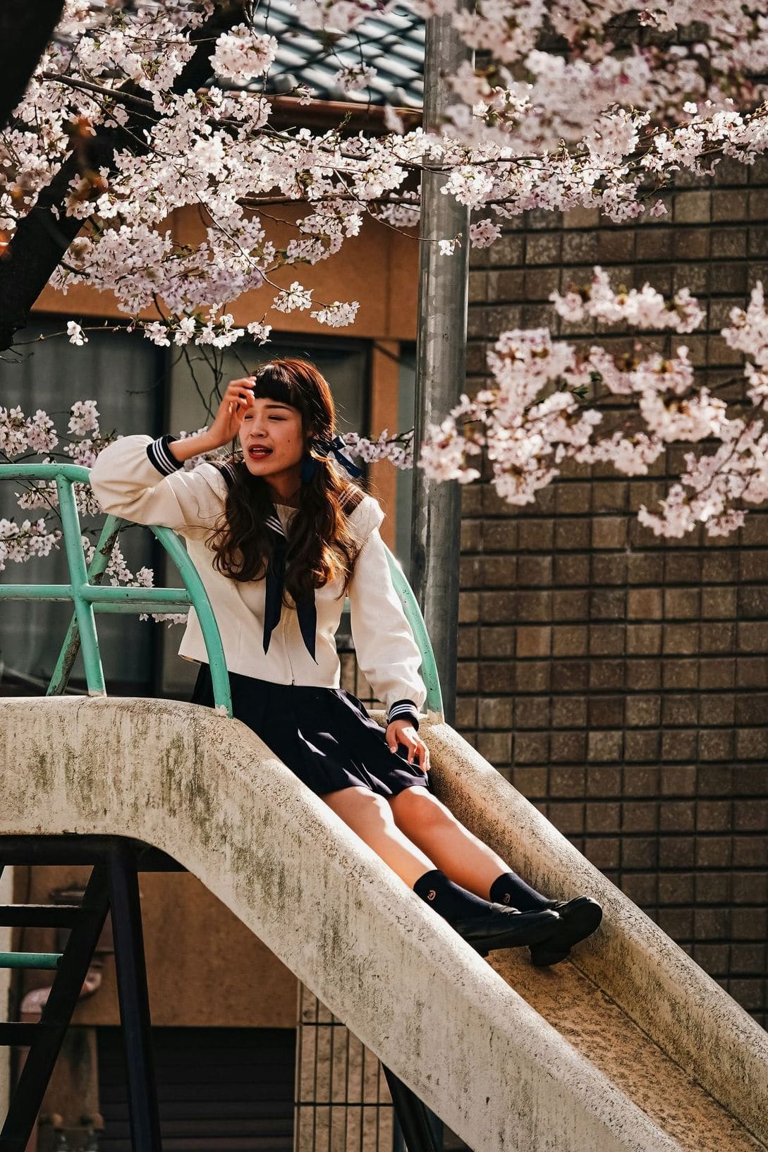 About Sakura Japanese Academy