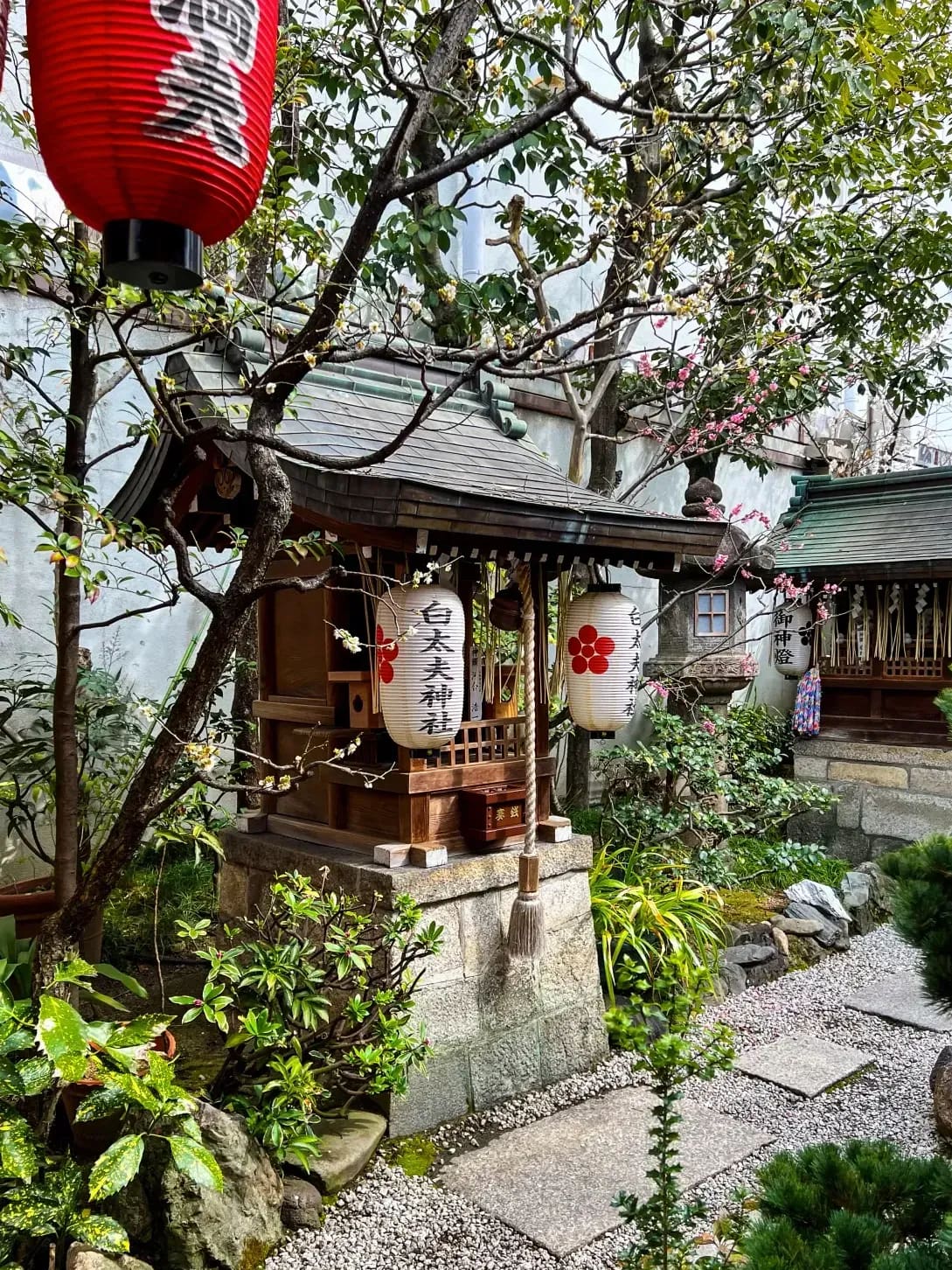 Sakura Japanese Academy 10