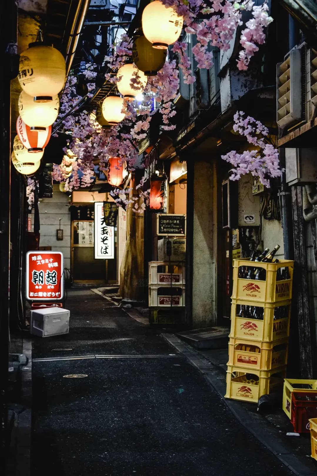 Sakura Japanese Academy 4