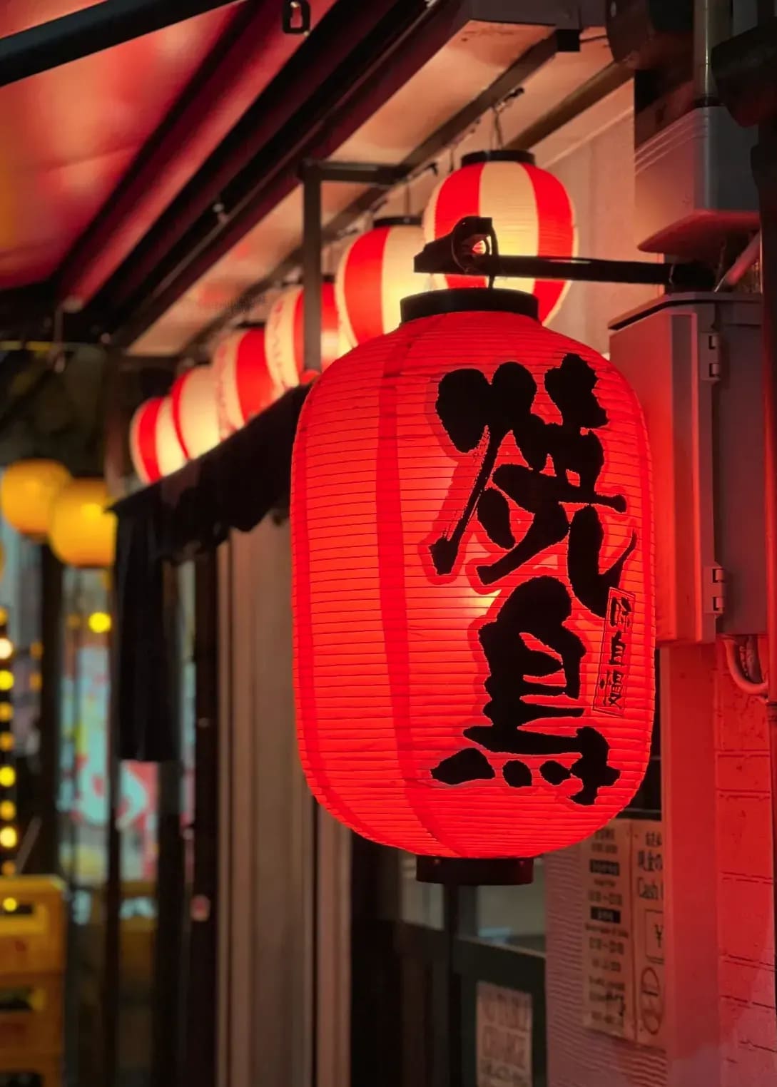 Sakura Japanese Academy 8