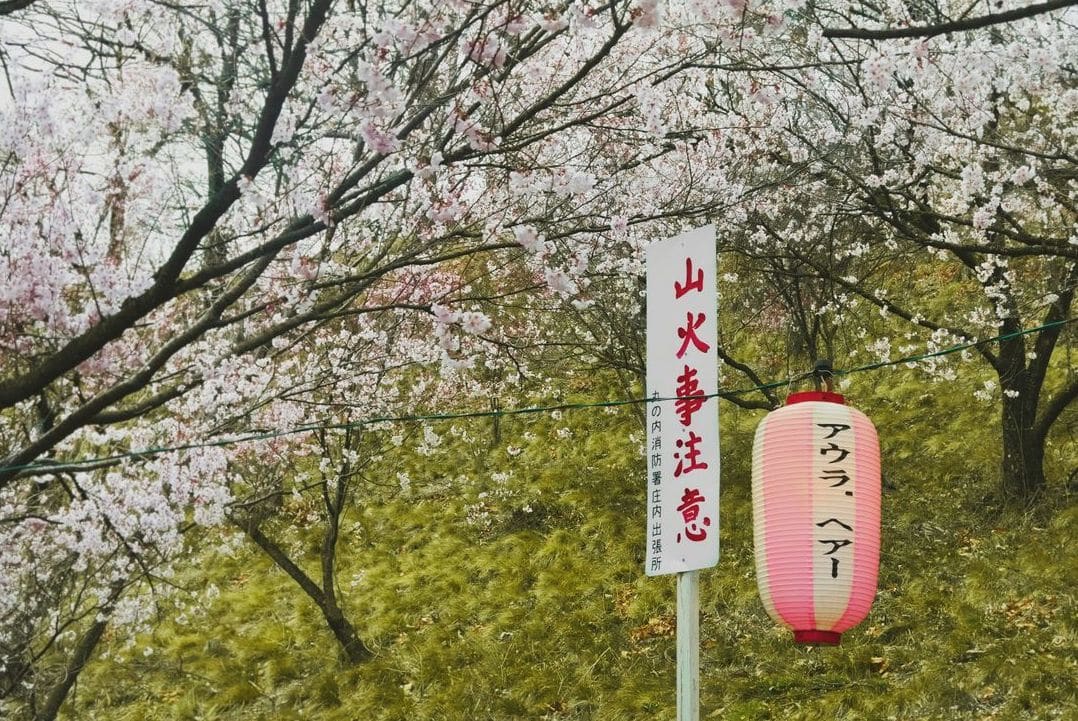 授業開始後に進度を見直す